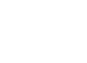 logo-homepage 1 [Vectorized]